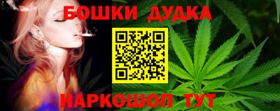 МДПВ Новокубанск
